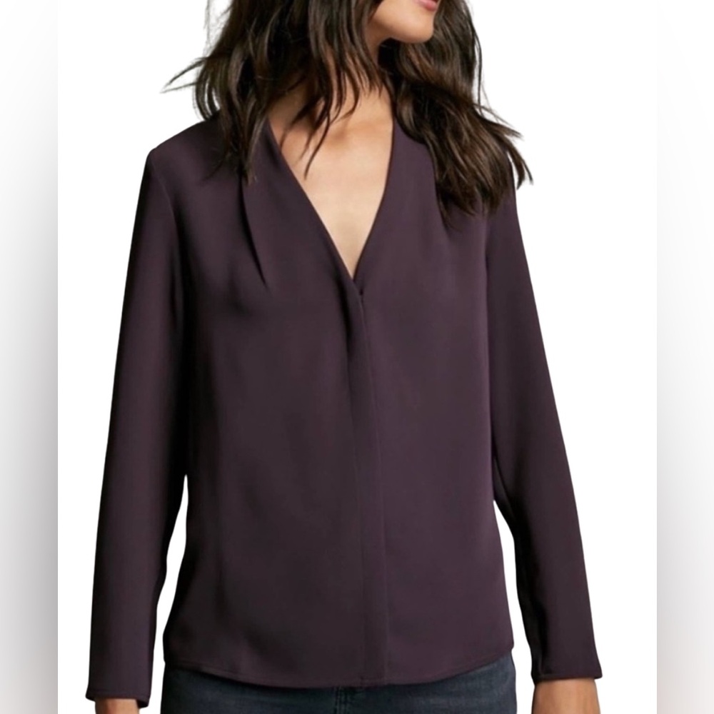 Aritzia Plum V-Neck Long Sleeve Blouse